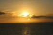DSC_1656.JPG